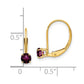 Round June/Rhodolite Garnet Leverback Earrings - WBC