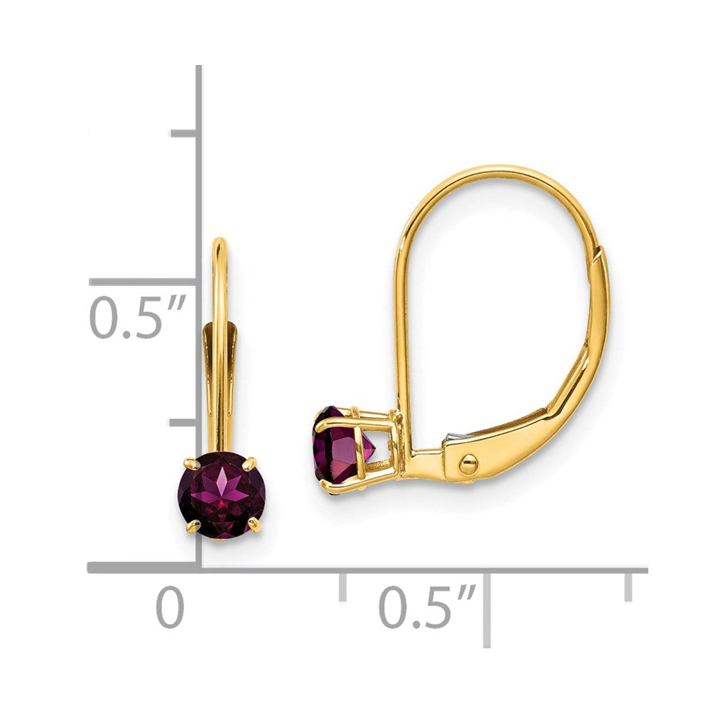Round June/Rhodolite Garnet Leverback Earrings - WBC