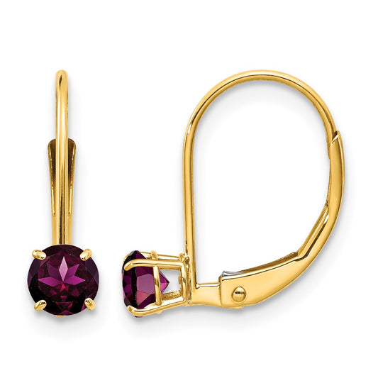 Round June/Rhodolite Garnet Leverback Earrings - WBC