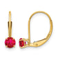 Round July/Ruby Leverback Earrings - WBC