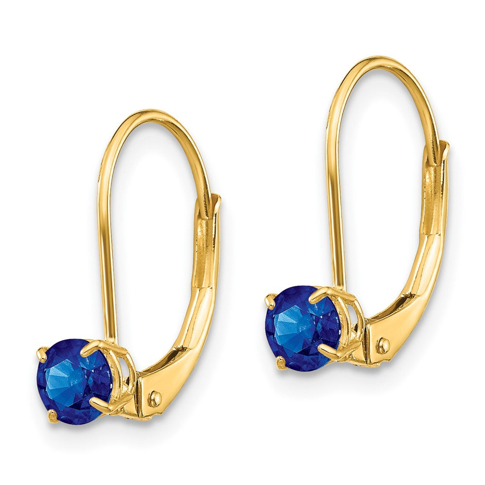 Round September/Sapphire Leverback Earrings - WBC