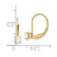 Round October/Opal Leverback Earrings - WBC