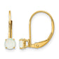 Round October/Opal Leverback Earrings - WBC