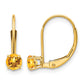 Round November/Citrine Leverback Earrings - WBC