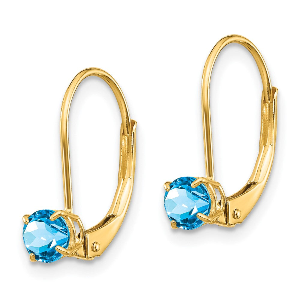 Round December/Blue Topaz Leverback Earrings - WBC