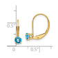 Round December/Blue Topaz Leverback Earrings - WBC