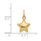 3-D Puffed Star Charm - WBC
