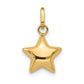 3-D Puffed Star Charm - WBC