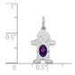Boy Charm 6x4 Oval Genuine Amethyst-February - WBC