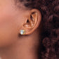 Heart Cubic Zirconia Post Earrings - WBC