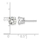 Round Cubic Zirconia Post Earrings - WBC