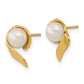 5- Button Freshwater Cultured Pearl Post Earrings - WBC