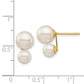 and Round Freshwater Cultured Double Pearl Post Earrings - WBC