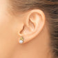 5- Button Freshwater Cultured Pearl and .06 Carat Diamond Post Earrings - WBC