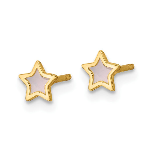 Polished Mother of Pearl Star Post Earrings - WBC