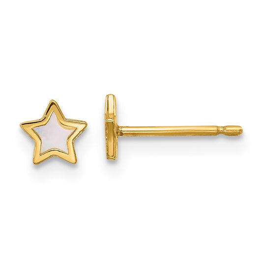 Polished Mother of Pearl Star Post Earrings - WBC
