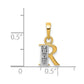 with Rhodium Diamond Letter R Initial Pendant - WBC