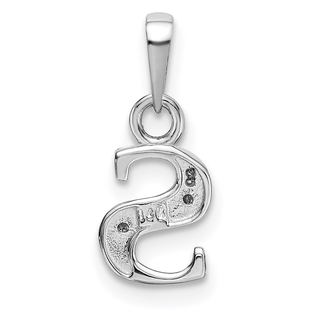 Rhodium-plated Diamond Letter S Initial Pendant - WBC
