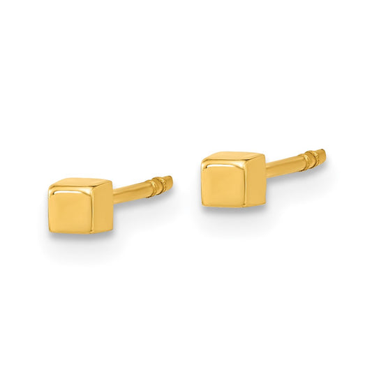 Polished Cube Post Earrings - WBC