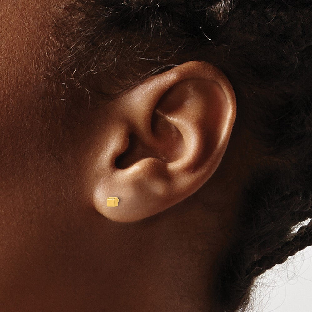 Polished Cube Post Earrings - WBC