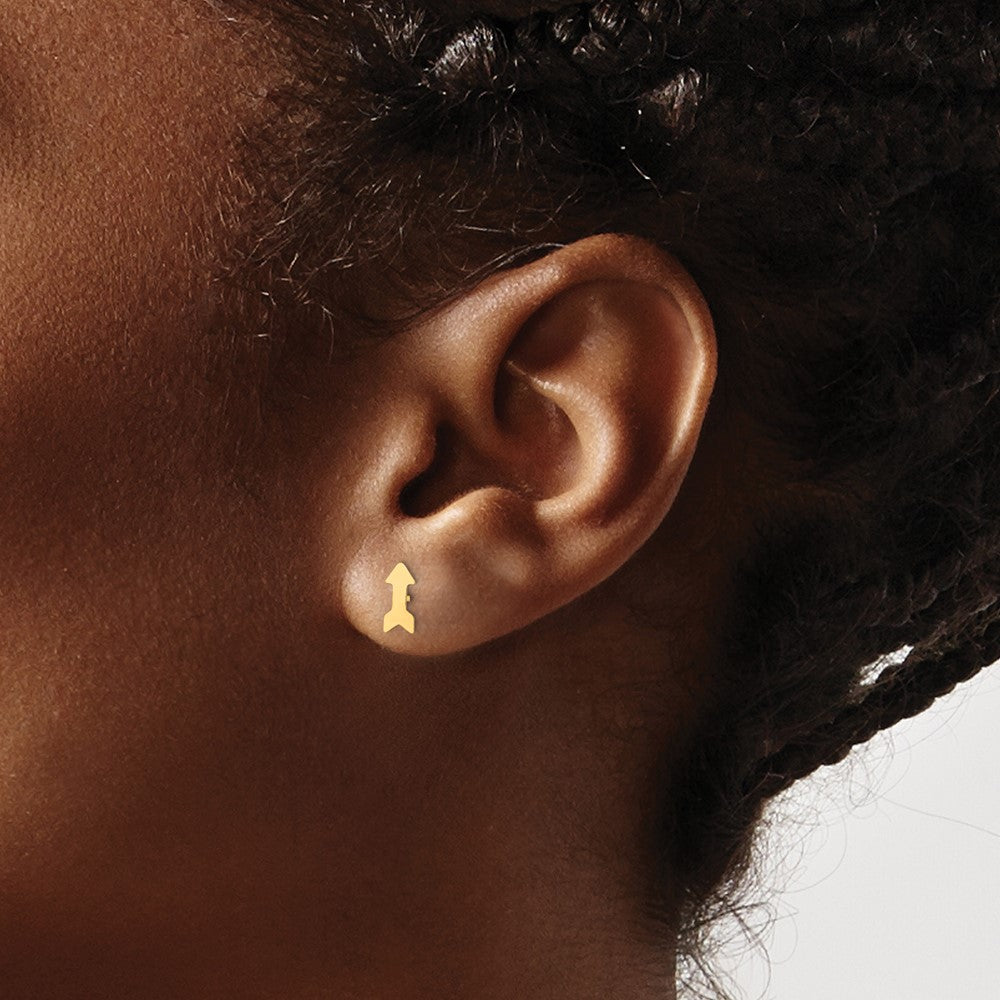 Polished Arrow Post Earrings - WBC