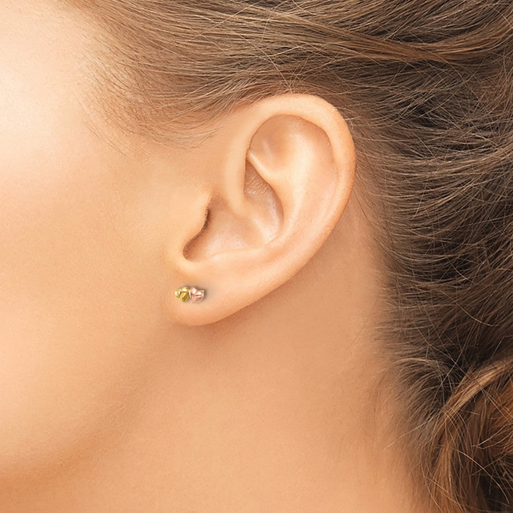Two-tone Double Hearts Screwback Post Earrings - WBC