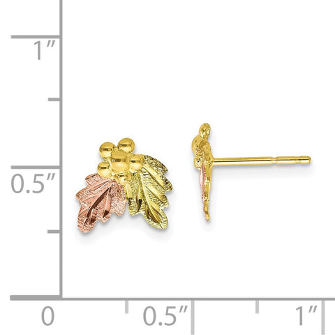 10k Tri-color Black Hills Gold Post Earrings-WBC-10BH644