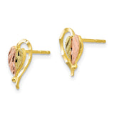 10k Tri-color Black Hills Gold Post Earrings-WBC-10BH647