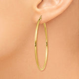 10K Polished 2mm Tube Hoop Earrings-WBC-10T921