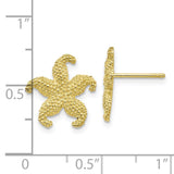 10K Starfish Post Earrings-WBC-10TC586