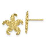 10K Starfish Post Earrings-WBC-10TC586