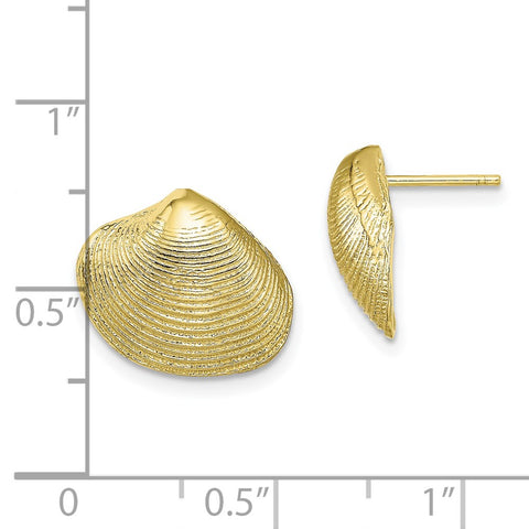 10K Clam Shell Post Earrings-WBC-10TE786