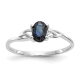 10k White Gold Polished Geniune Sapphire Birthstone Ring-WBC-10XBR150