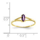 10k Polished Geniune Amethyst Birthstone Ring-WBC-10XBR179