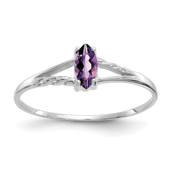 10k White Gold Polished Geniune Amethyst Birthstone Ring-WBC-10XBR191