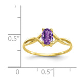 10k Polished Geniune Amethyst Birthstone Ring-WBC-10XBR227