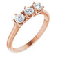 14K Rose 1/2 CTW Diamond Three-Stone Anniversary Band -123903:606:P-ST-WBC
