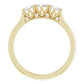 14K Yellow 1/2 CTW Diamond Three-Stone Anniversary Band -123903:605:P-ST-WBC