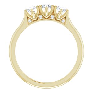14K Yellow 1/2 CTW Diamond Three-Stone Anniversary Band -123903:605:P-ST-WBC