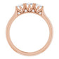 14K Rose 1/2 CTW Diamond Three-Stone Anniversary Band -123903:606:P-ST-WBC
