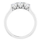 Platinum 1/2 CTW Diamond Three-Stone Anniversary Band -123903:607:P-ST-WBC