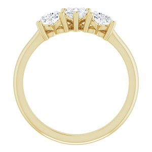 14K Yellow 1 CTW Diamond Three-Stone Anniversary Band  -123896:605:P-ST-WBC