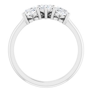 Platinum 1 CTW Diamond Three-Stone Anniversary Band  -123896:607:P-ST-WBC