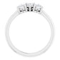Platinum 3/8 CTW Diamond Three-Stone Anniversary Band  -123896:603:P-ST-WBC