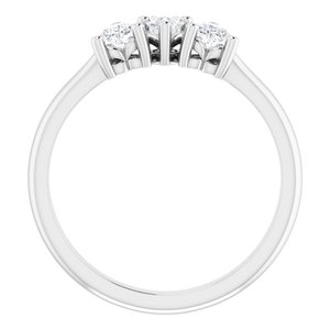 Platinum 3/8 CTW Diamond Three-Stone Anniversary Band  -123896:603:P-ST-WBC