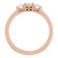 14K Rose 3/8 CTW Diamond Three-Stone Anniversary Band  -123896:602:P-ST-WBC