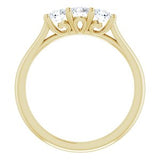 14K Yellow 1/2 CTW Diamond Anniversary Band-123079:60001:P-ST-WBC