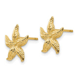 14k Starfish Earrings-WBC-E908