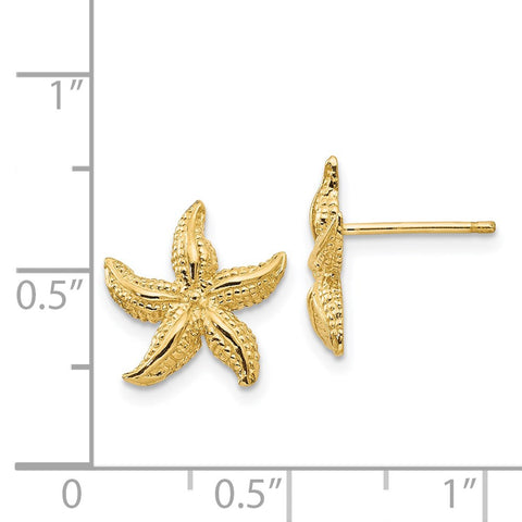 14k Starfish Earrings-WBC-E908