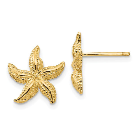 14k Starfish Earrings-WBC-E908